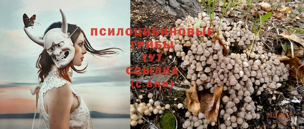 таблы Михайловск
