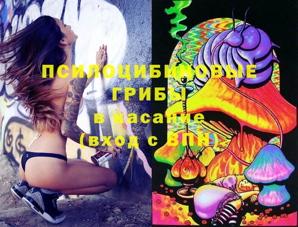 таблы Михайловск